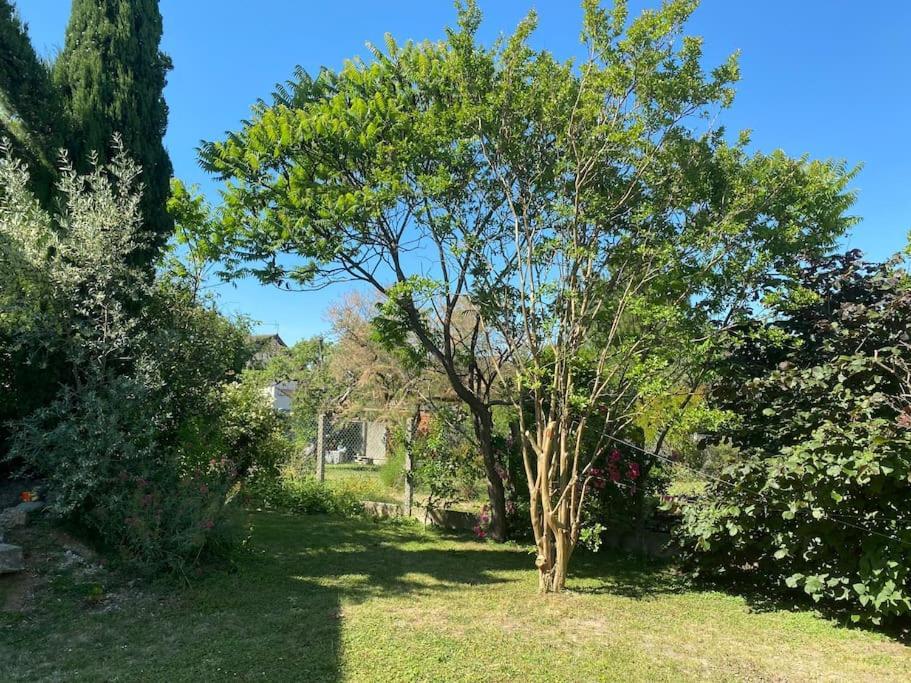 Maison Rez De Jardin Integral Entre Disney & Paris Chelles  Eksteriør bilde